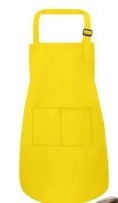 Dinosaur or Dinosaur with Bow Apron